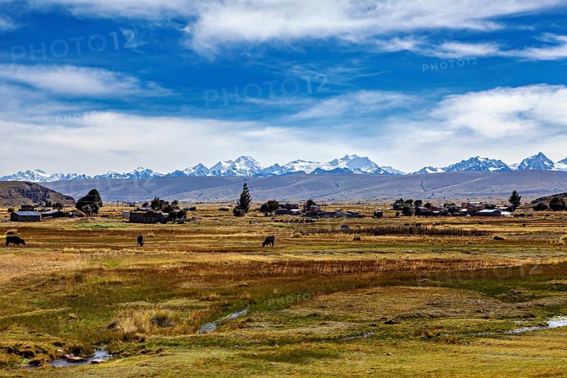 Landscape with snow-capped mountains in the background, village and fields in the foreground under blue sky, The landscape of the Altiplano in the Andes of Bolivia
