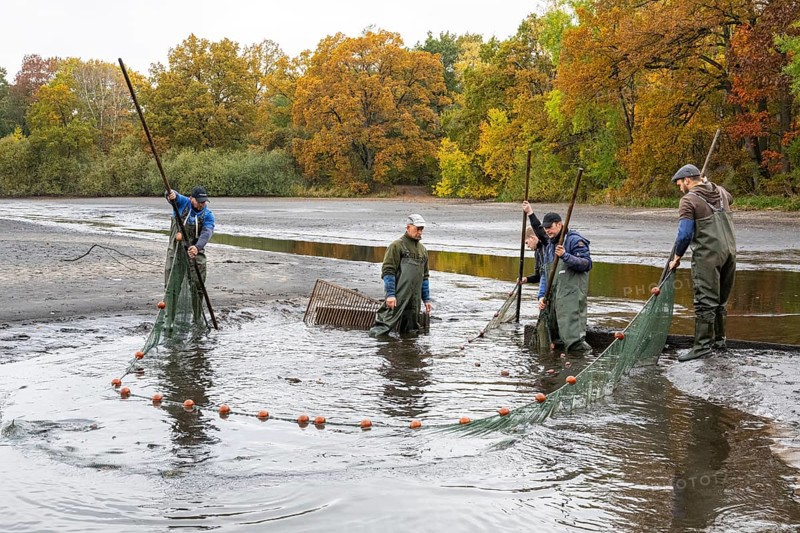 Fishing at Teichwirtschaft Ahlhorner Fischteiche, Ahlhorn, Lower Saxony, Germany