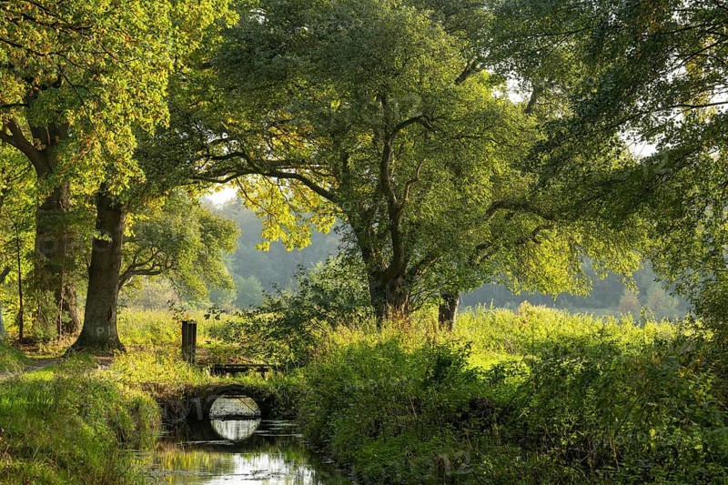 Autumn impression of Ahlhorn fish ponds, Ahlhorn, Lower Saxony, Germany