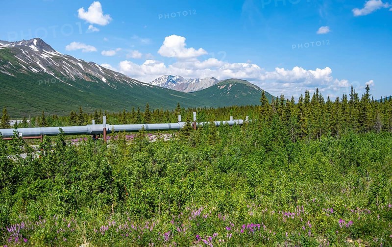 Alaska Pipeline Oil Pipeline, Alaska Range, Richardson Highway, Alaska, USA