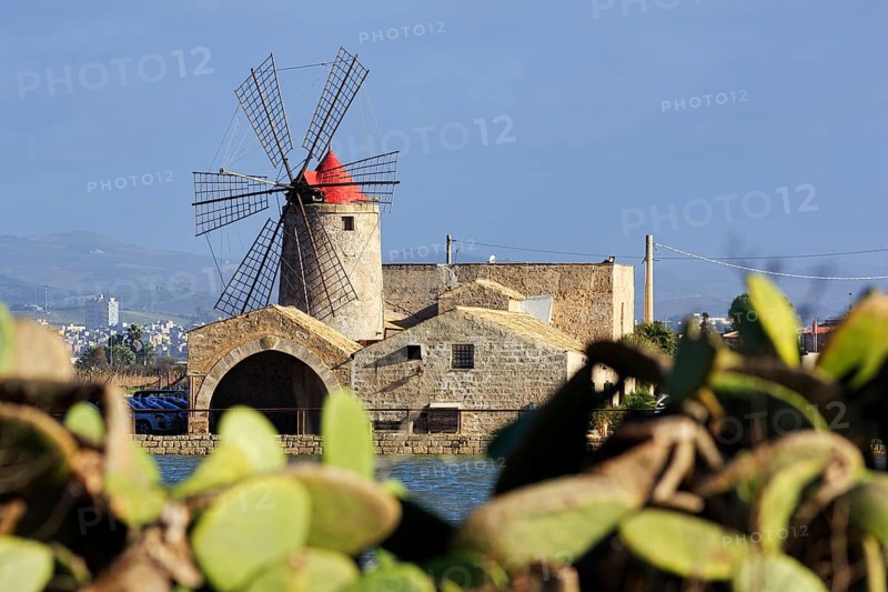 View through Opuntia of salt museum, traditional windmill, saltworks di Trapani and Paceco nature reserve, traditional salt production, Nubia, Trapani, salt route, Sicily, southern Italy, Italy