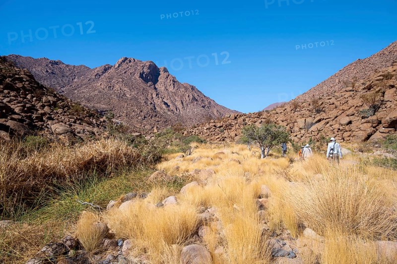 Hiking to White Lady, Dry Mountain Landscape, Tsisab Gorge, Brandberg, Erongo, Namibia