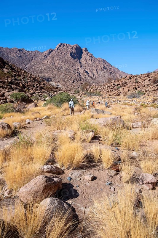 Hiking to White Lady, Dry Mountain Landscape, Tsisab Gorge, Brandberg, Erongo, Namibia