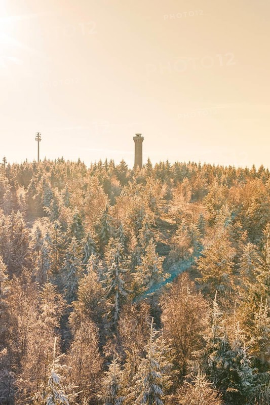 A wintery afternoon shot of a snowy forest with tower, Holohturm, Gernsbach, Rastatt district, Germany