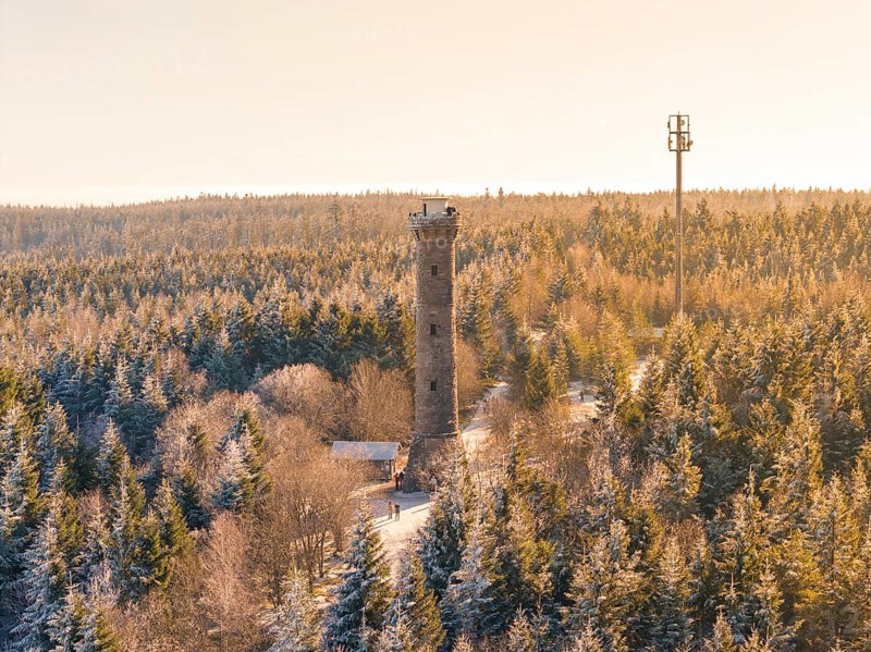 A sunny day with an observation tower between snow-covered fir trees along a forest trail, Holohturm, Gernsbach, Rastatt district, Germany
