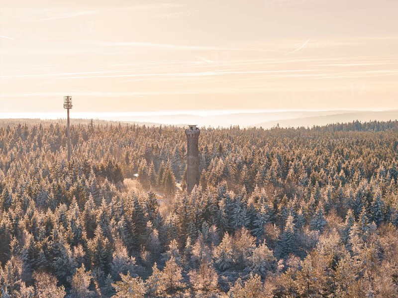 View of a winter forest with a tower and cell phone tower in the evening, Holohturm, Gernsbach, Rastatt district, Germany