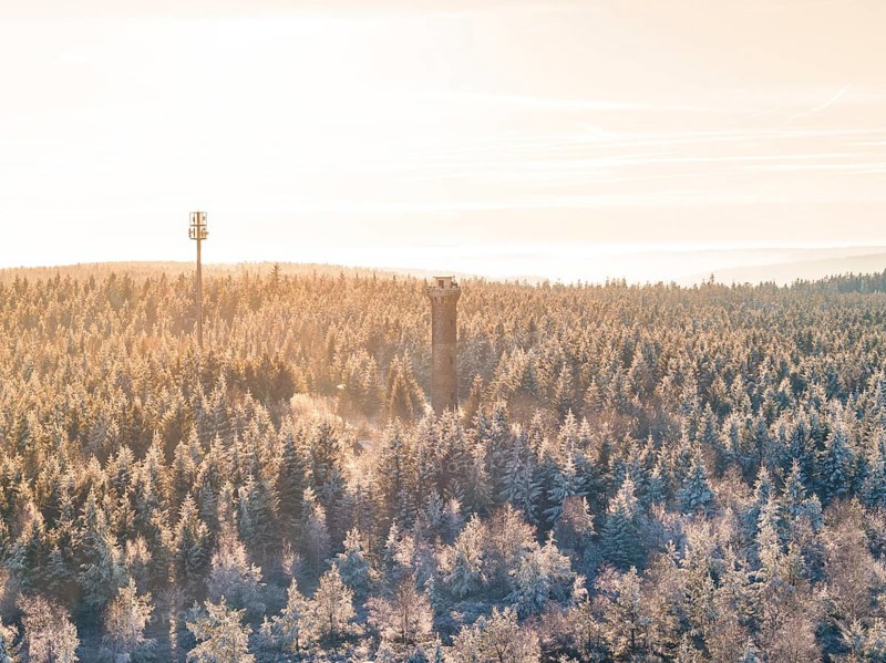 A snow-covered forest with a tower in the morning sun, Holohturm, Gernsbach, Rastatt district, Germany