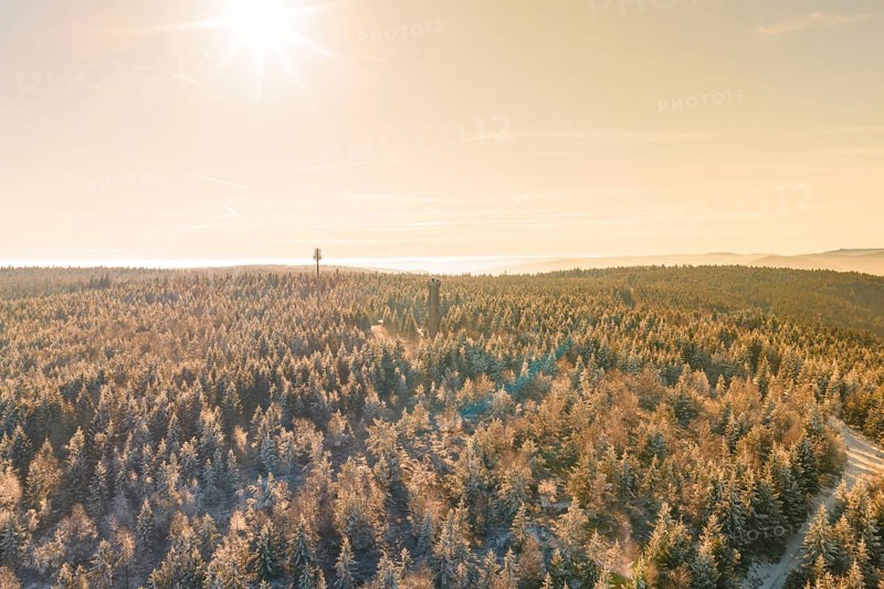 A wide winter forest with sunbeams and a tower in the distance, Holohturm, Gernsbach, Rastatt district, Germany