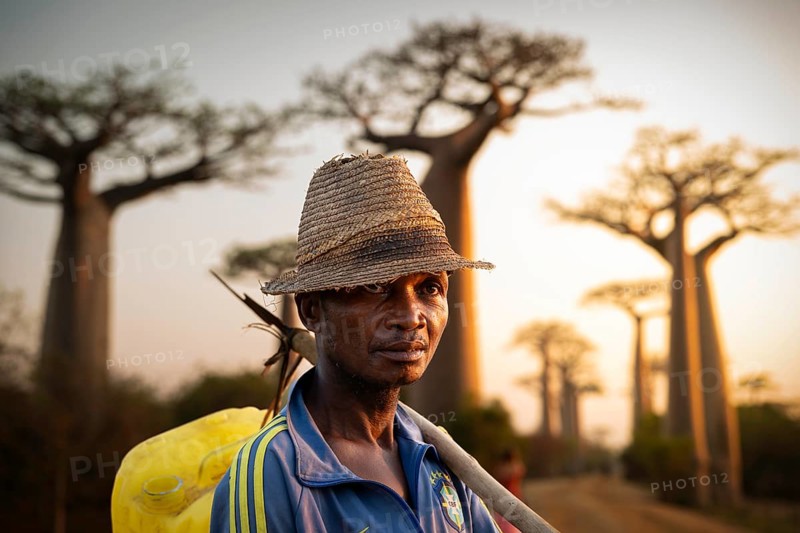 Farmer at sunrise on Baobab Alley in western Madagascar