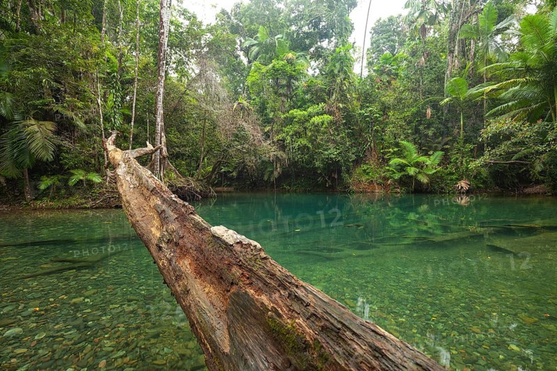 The Blue Hole, Cooper Creek, Daintree National Park, Queensland, Australia