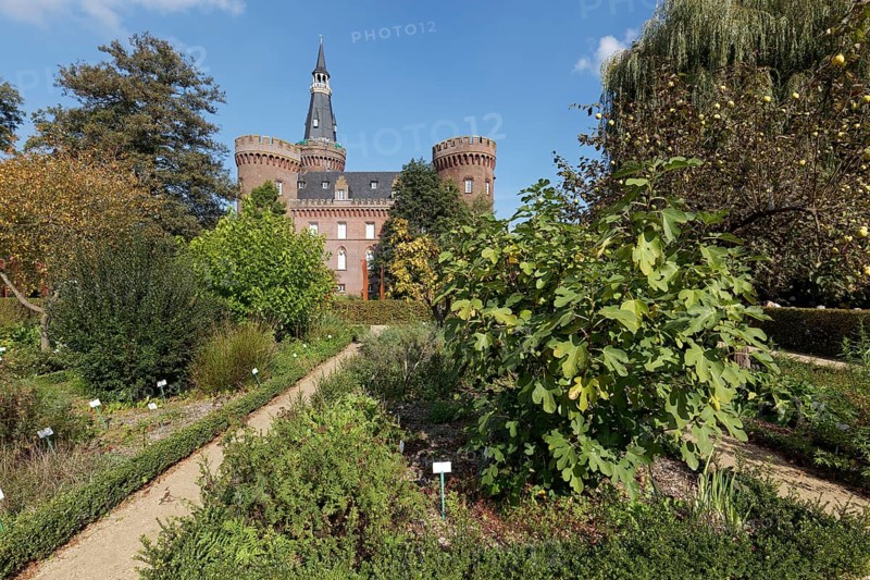 Historischer Kräutergarten, Parkanlage Museum Schloss Moyland, Bedburg-Hau, Lower Rhine, North Rhine-Westphalia, Germany