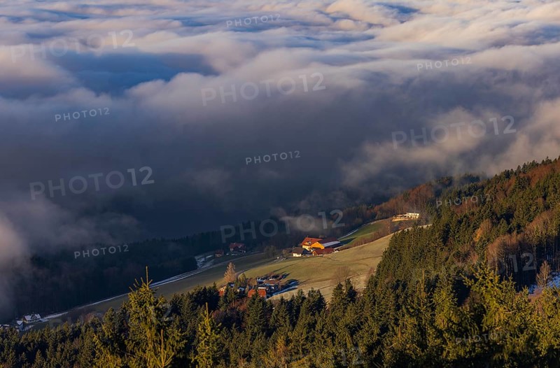 Agricultural landscape with farms rising out of a sea of fog, inversion weather, Mondseeland, Salzkammergut, Upper Austria, Austria