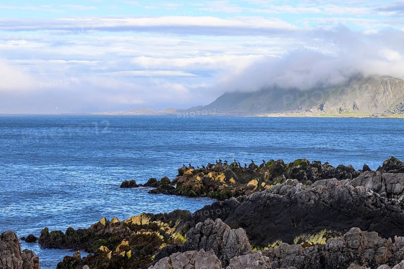 Atmospheric coastal landscape with cloudy sky over a vast sea on the coastal road in the north of the Varanger Peninsula with shags (Gulosus aristotelis) sitting on the rocky shore, Berlevåg, Finnmark, Norway