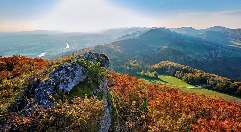 View of an autumnal forest from the Gisliflue, behind the Jura foothills with Wasserfluh and Strihen, Talheim, Canton, Aargau, Switzerland