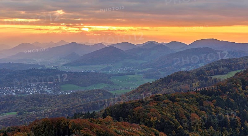 View of an autumnal forest from the Gisliflue, behind the Jurassic foothills in the light of the setting sun, Talheim, Canton, Aargau, Switzerland