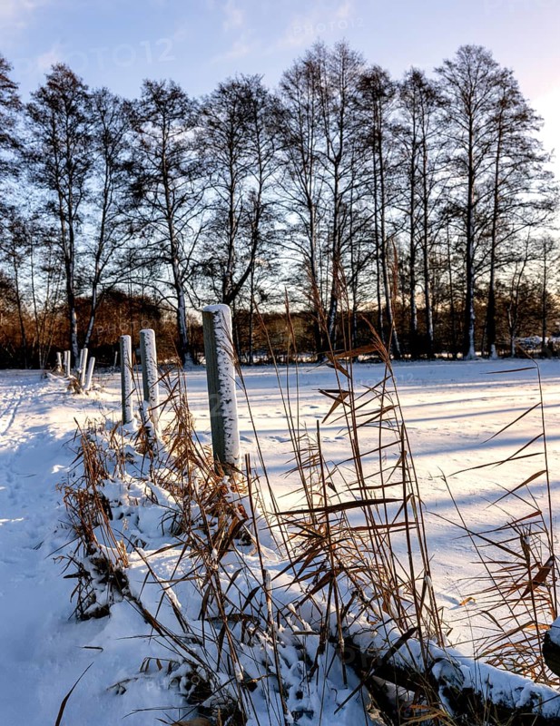 Winter landscape, fields and fields in Berlin Lübars, a village in Berlin Reinickendorf, Germany