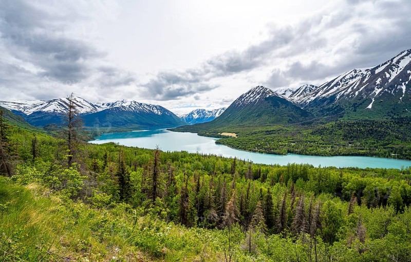 View of snowy mountains in spring and turquoise blue Kenai Lake, Slaughter Ridge Trail, Cooper Landing, Kenai Peninsula, Alaska, USA