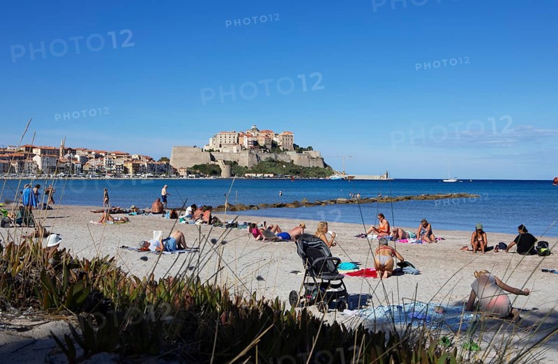 Calvi beach, back the citadel, Balagne, Haute-Corse department, Corsica, France
