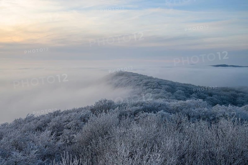 Snowy range of hills with frosty trees in the morning light, Hermannsweg an der Steinegge, Dissen am Teutoburger Wald, Lower Saxony, Germany