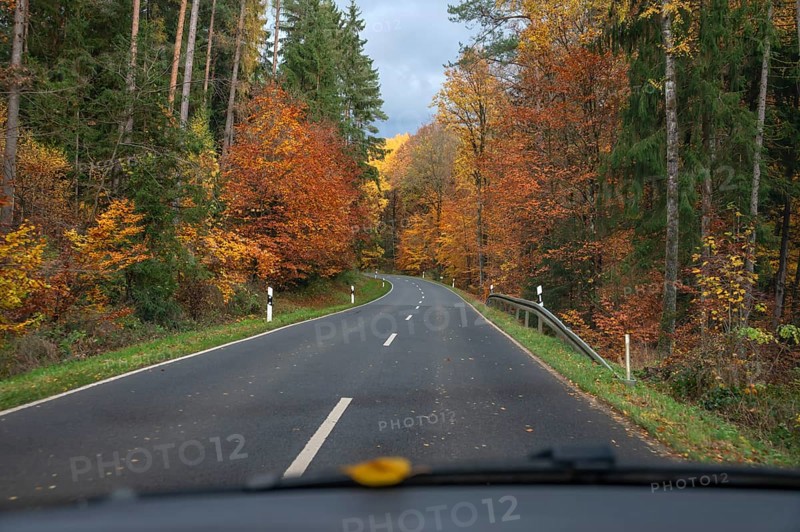 Herbstwald an der Bundestraße 2, View from the car, Gräfenberg, Upper Franconia, Bavaria, Germany