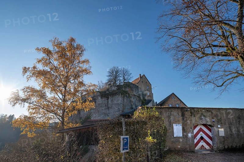 Autumnal birch (Betula) in front of Pottenstein Castle, created around 1070, Pottenstein, Upper Franconia, Bavaria, Germany