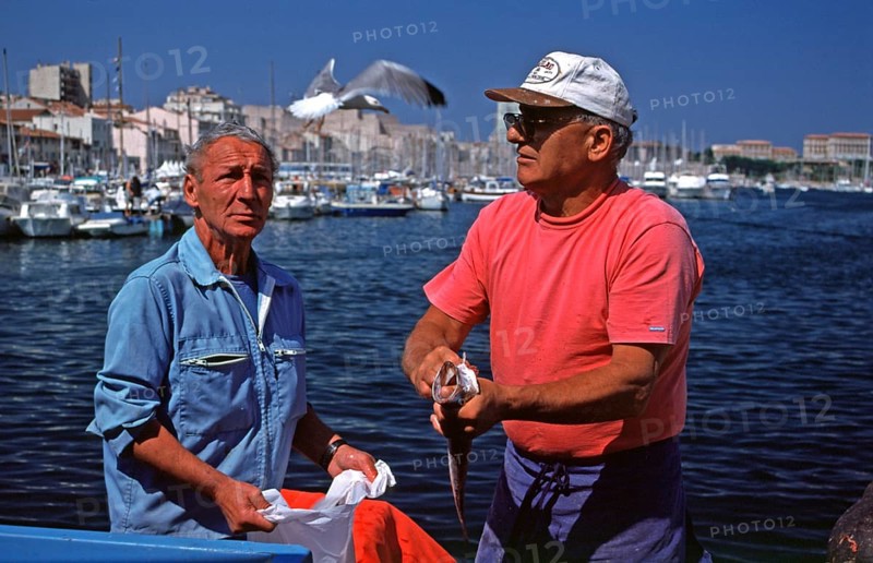 Fish seller, seagull in flight, fish market, Vieux Port, Marseille, southern France, June 1999, vintage, retro, old, historic