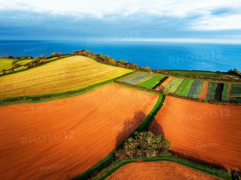 Colours of autumn Fields and Farms over Sheldon from a drone, Torbay, Devon, England, United Kingdom