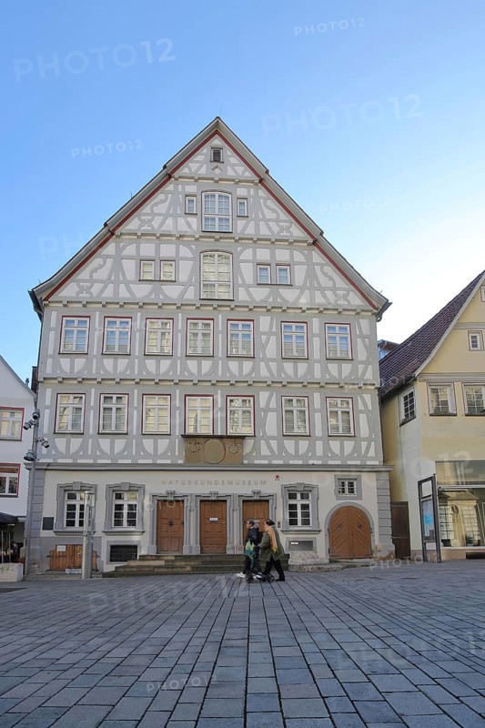 Historical half-timbered house and natural history museum and former Old Lyceum, Reutlingen, Swabian Jura, Baden-Württemberg, Germany