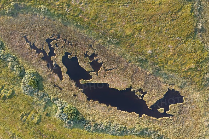 Aerial view of a small pond surrounded by green moor and thick vegetation, Varanger Fjord, Barents Sea, Finnmark, Norway