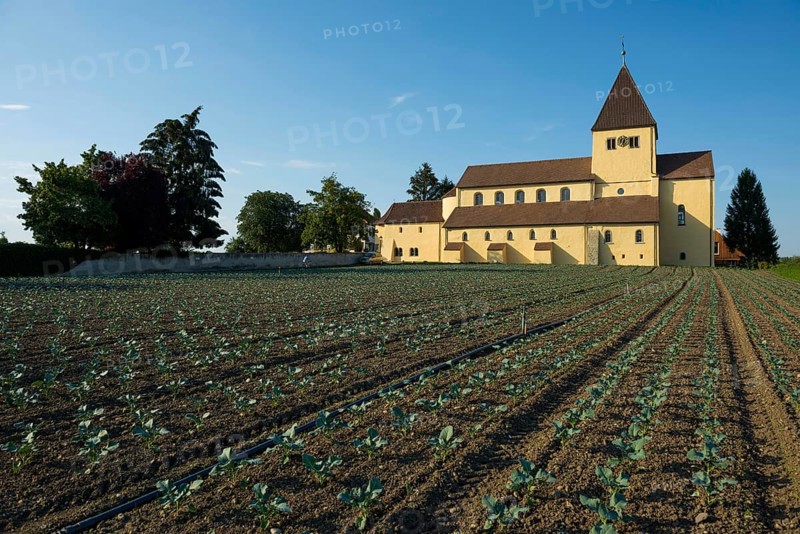 Collegiate Church of St. Peter and Paul and Gemüsefeld, Niederzell, UNESCO World Heritage Site, Reichenau Island, Lake Constance, Baden-Württemberg, Germany