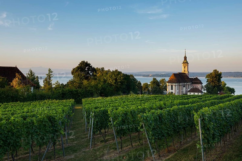 Birnau pilgrimage church and vineyards, sunrise, Uhldingen-Mühlhofen, Lake Constance, Baden-Württemberg, Germany