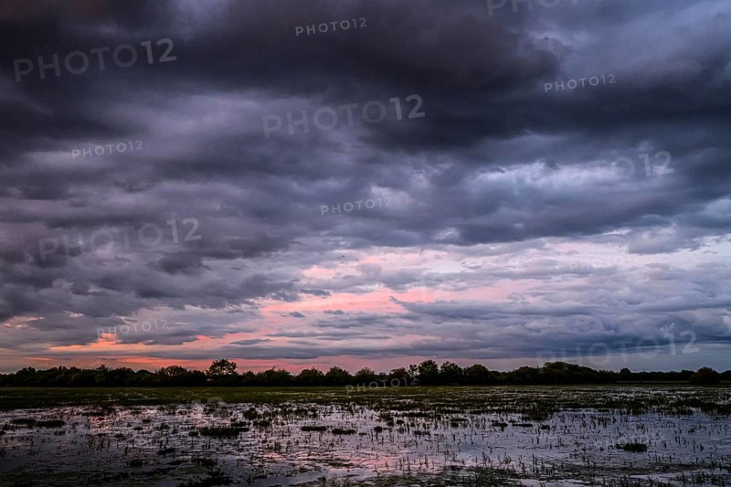 Dramatic cloud atmosphere over flooded wetlands with wind turbines in the background and bright shades of orange and blue in the sky, Dümmer nature park Park, Lower Saxony, Germany