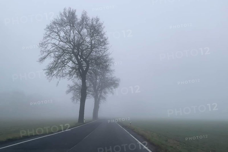 Driver's perspective view of foggy, foggy country road in thick fog in winter, Germany