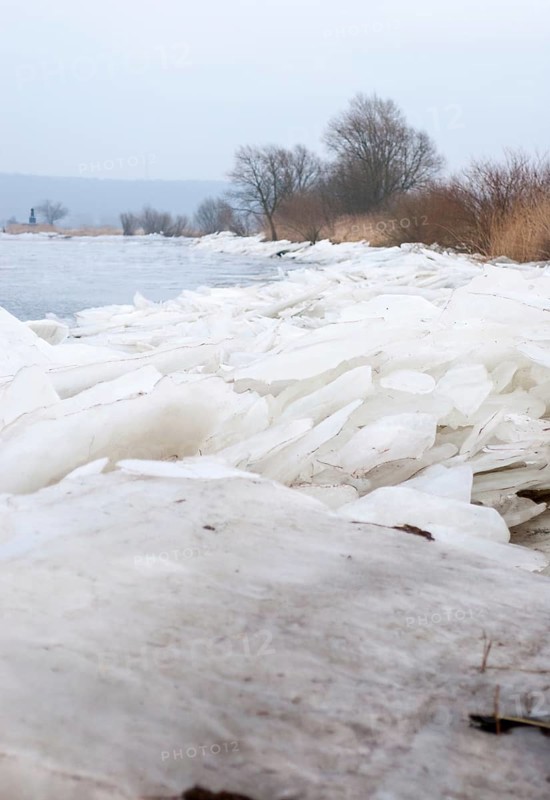 The banks of the Elbe in winter with a thick layer of ice, bare trees and reeds in a cool environment, grey sky, silence, atmosphere, stacked ice floes, ice, grey, icy river, river landscape, river regulation, freezing, frost, water, grey, season, cold, landscape, nature, northern Germany, lock, barrier, water, winter, Landscape, Elbe in front of the Geesthacht barrage in winter, Lower Saxony, Germany