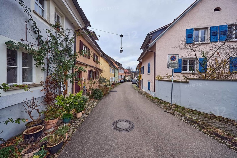 Residential buildings, multi-family houses, façade with windows and trellises, flower pots, trellises, cloudy, diffuse light, alleyway St.-Johannesgasse, Staufen im Breisgau, Black Forest, Breisgau-Hochschwarzwald district, Baden-Württemberg, Germany