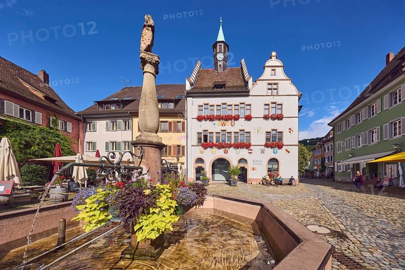 Market fountain, planters with sweet potato (Ipomoea batatas), historic town hall, general architecture, houses, cobblestone square, outdoor area of a restaurant, café town hall café, trees, blue sky, cumulus clouds, intersection of main street and Kirchstraße, Staufen im Breisgau, Black Forest, Breisgau-Hochschwarzwald district, Baden-Württemberg, Germany