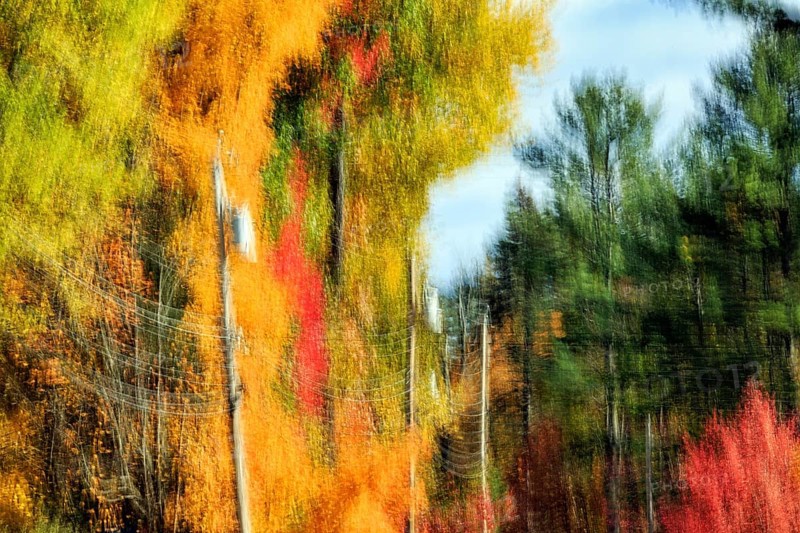 Autumn leaves, Indian summer, power poles, long exposure, abstract, illustration, Maine, New England, USA