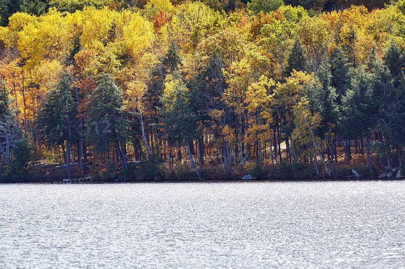 Lakeside, pond, autumn leaves, Indian summer, Maine, New England, USA