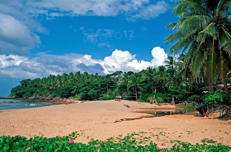 Palm tree, beach at Coral Beach Resort on the island of Ko Lanta, Thailand, December 2002, vintage, retro, old, historic