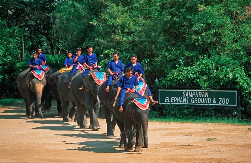 Performance with elephants at Samphran Elephant Ground and Zoo near Bangkok, Thailand, December 2002, vintage, retro, old, historic