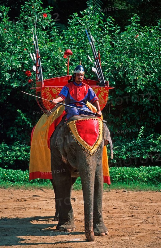 Performance with elephants at Samphran Elephant Ground and Zoo near Bangkok, Thailand, December 2002, vintage, retro, old, historic