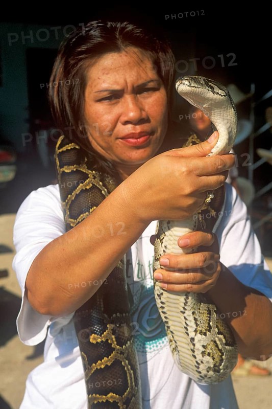 A woman presents a python in Damnoen Saduak near Bangkok, Thailand, December 2002, vintage, retro, old, historic