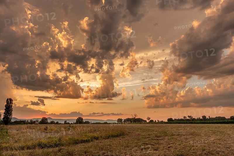 A brilliant sunset casts warm colors across a cheerful meadow. Dark clouds dominate the sky, while golden light penetrates and creates a dramatic and peaceful atmosphere. Bas Rhin, Alsace, France