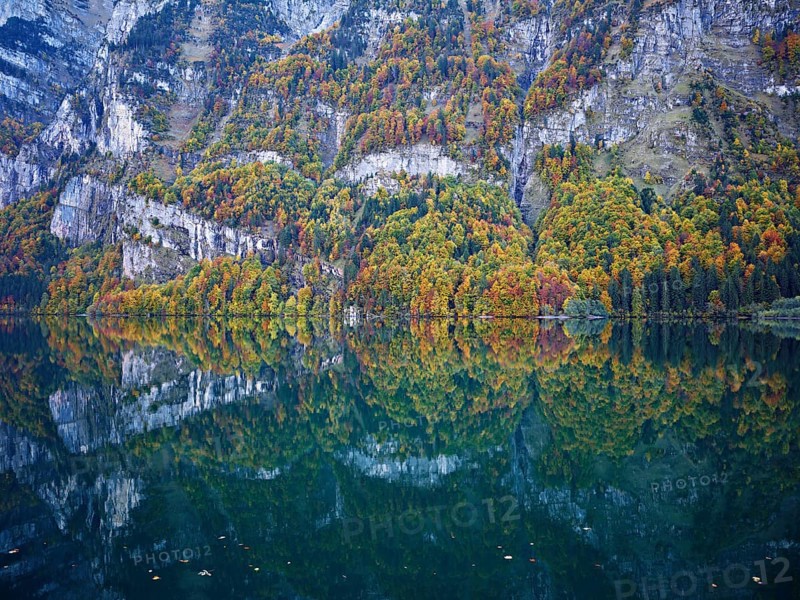 Autumn-colored forest is reflected in Lake Klöntal, Canton of Glarus, Switzerland