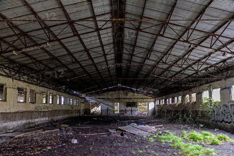 Abandoned hall with Grafity, dilapidated plant of a former agricultural production cooperative of the former GDR, LPG, Lost Place, Müggenburg, Fischland-Darß-Zingst, Western Pomerania National Park, Mecklenburg-Western Pomerania, Germany