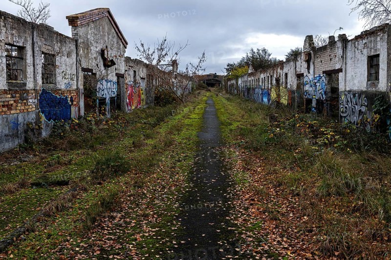 Dilapidated halls with gravity of the dilapidated plant of a former agricultural production cooperative of the former GDR, LPG, Lost Place, Müggenburg, Fischland-Darß-Zingst, Western Pomerania National Park, Mecklenburg-Western Pomerania, Germany