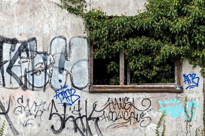 Grafity on an old house wall, dilapidated plant of a former agricultural production cooperative of the former GDR, LPG, Lost Place, Müggenburg, Fischland-Darß-Zingst, Western Pomerania National Park, Mecklenburg-Western Pomerania, Germany