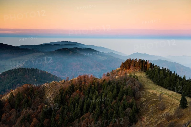 View from Belchen, morning mood with fog in autumn, sunrise, Belchen, Black Forest, Southern Black Forest, Baden-Württemberg, Germany
