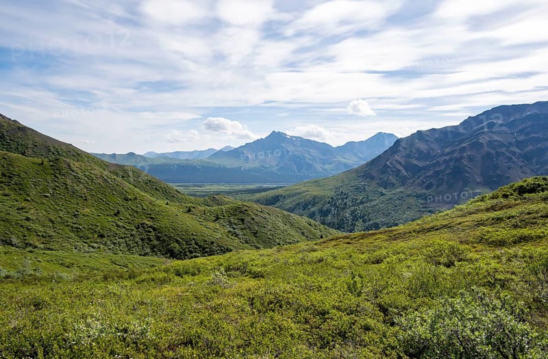 Tundra and mountainous landscape of the Alaska Range, Sable Pass, Denali National Park and Preserve, Alaska, USA