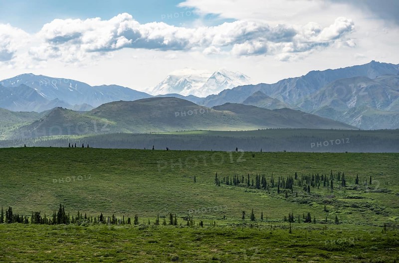 Tundra and glaciated peak of Denali or Mount McKinley, Alaska Range mountainous landscape, Denali National Park, Alaska, USA